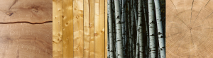 hout-strip